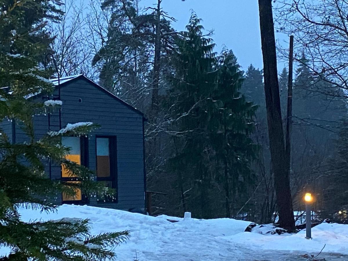 Willa Tammikon Tupa Tuusula Zewnętrze zdjęcie